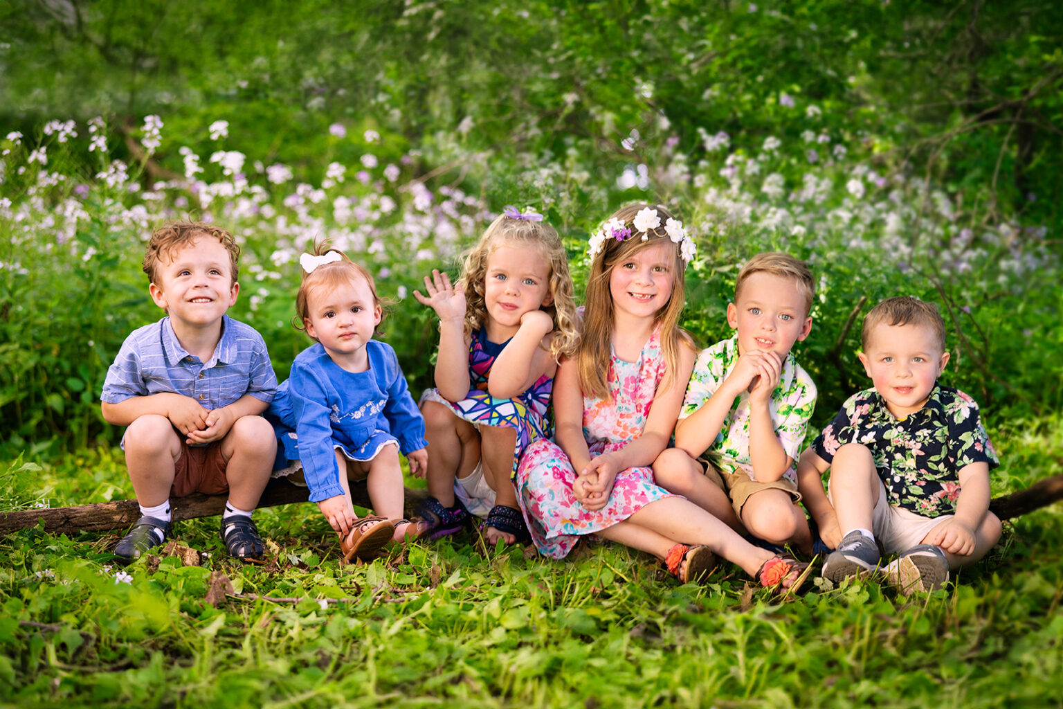 mini session photography